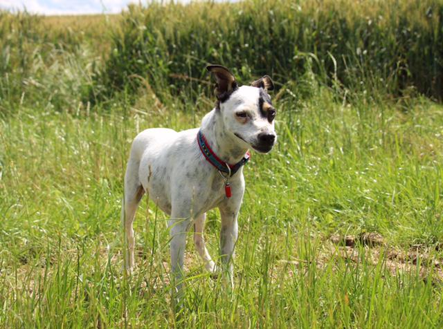 multimedia-foto37120-68-3