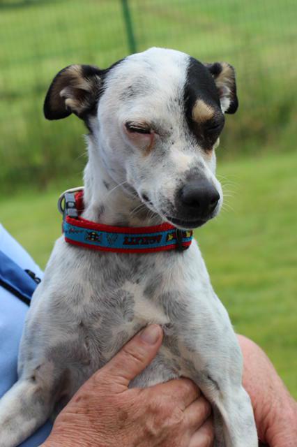 multimedia-foto37121-91-3