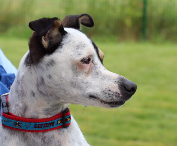 multimedia-foto37122-109-3