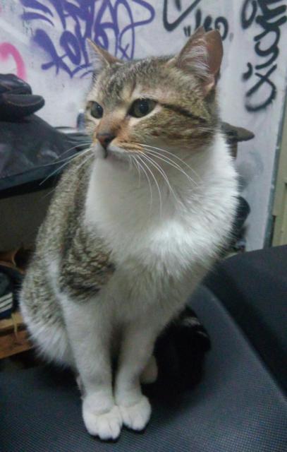 multimedia-foto37124-538-3