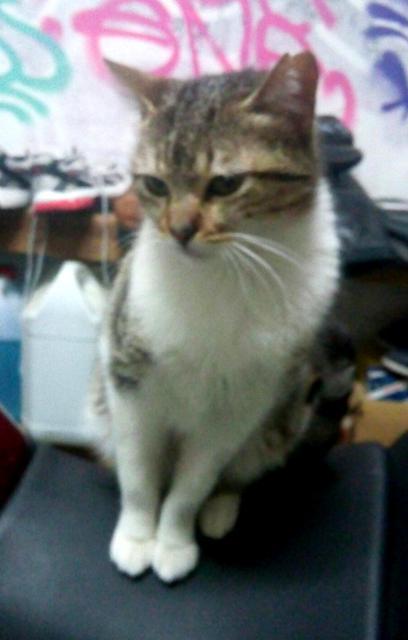 multimedia-foto37125-760-3