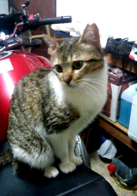 multimedia-foto37126-970-3