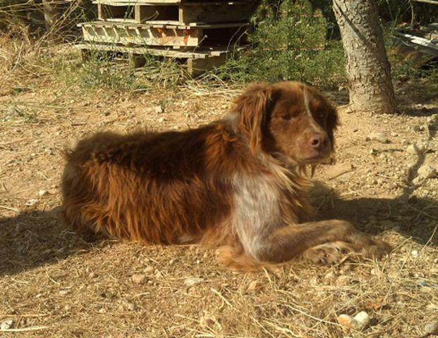 multimedia-foto37140-328-3