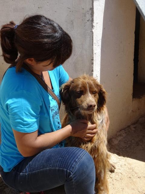 multimedia-foto37141-554-3