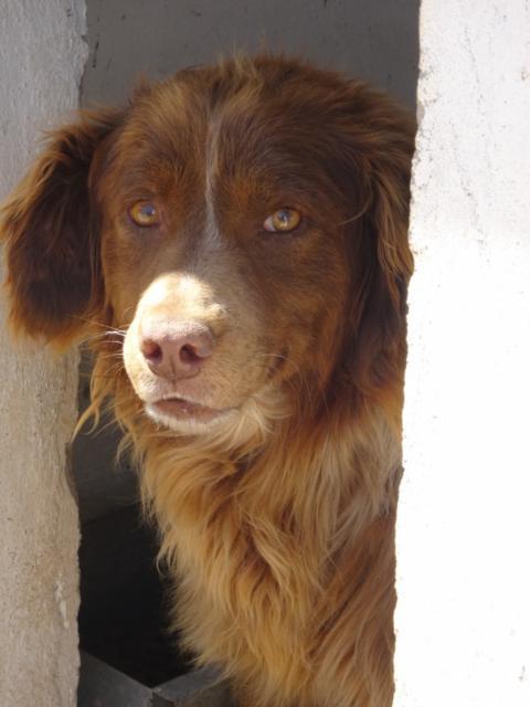 multimedia-foto37142-775-3