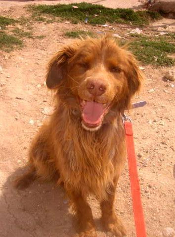 multimedia-foto37146-525-3