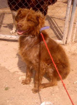 multimedia-foto37149-875-3