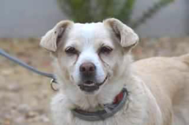 multimedia-foto37177-362-3