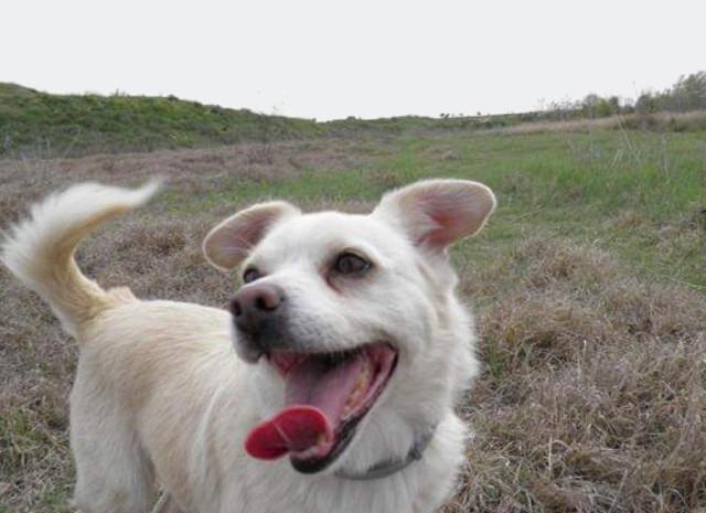 multimedia-foto37178-588-3