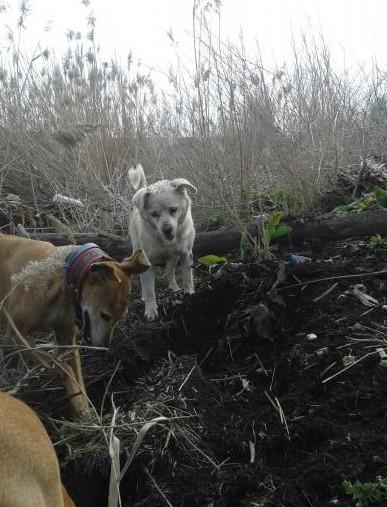 multimedia-foto37179-809-3