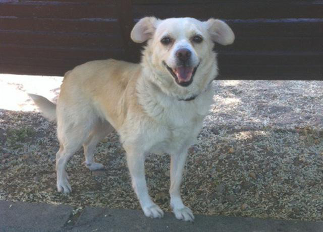 multimedia-foto37180-15-3