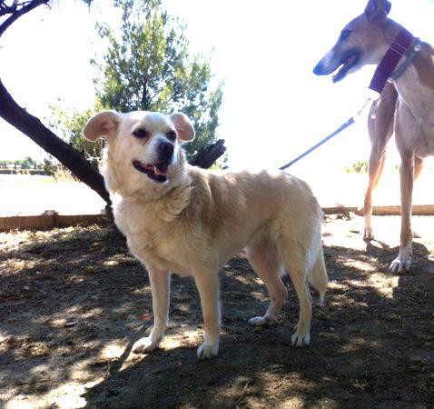 multimedia-foto37182-388-3