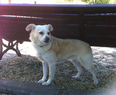 multimedia-foto37183-546-3