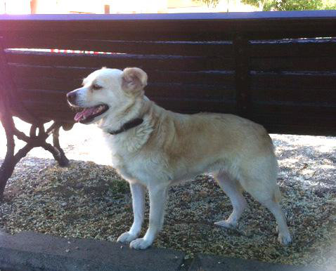 multimedia-foto37184-682-3