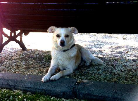 multimedia-foto37185-798-3