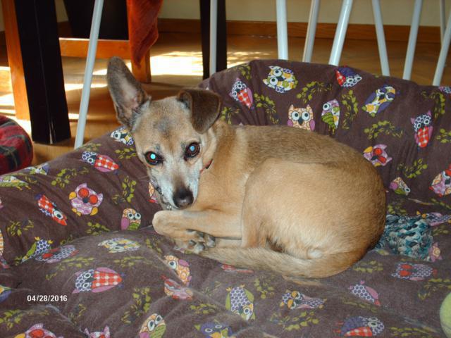 multimedia-foto37187-374-3