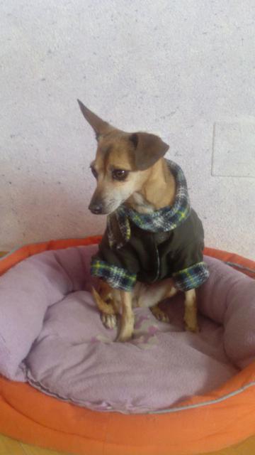 multimedia-foto37188-598-3