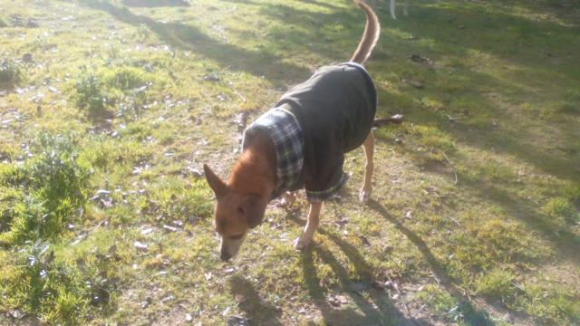 multimedia-foto37190-24-3