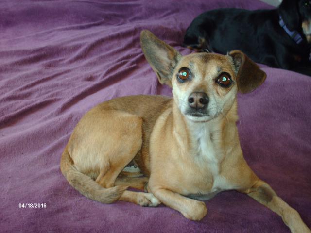 multimedia-foto37191-218-3