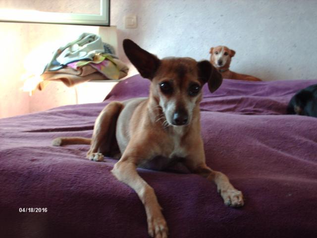 multimedia-foto37192-395-3