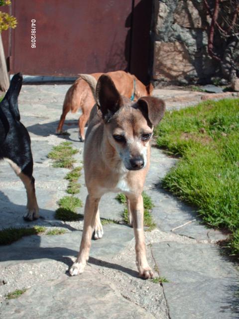 multimedia-foto37193-551-3