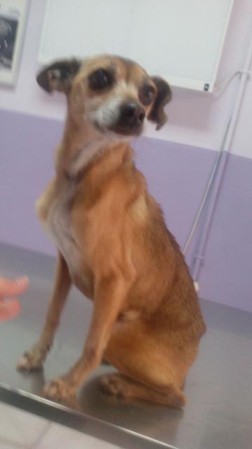 multimedia-foto37194-686-3