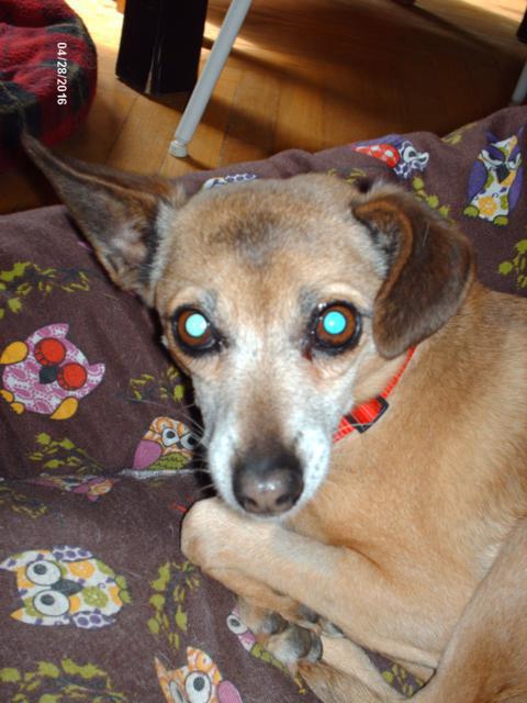 multimedia-foto37195-802-3