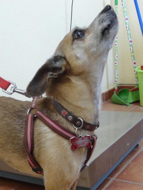 multimedia-foto37196-885-3