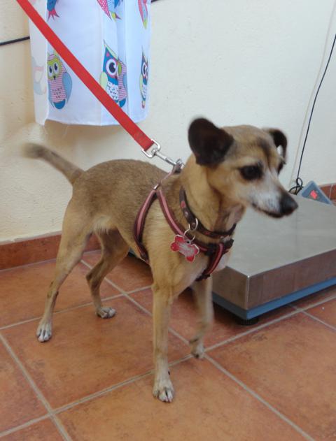 multimedia-foto37197-933-3