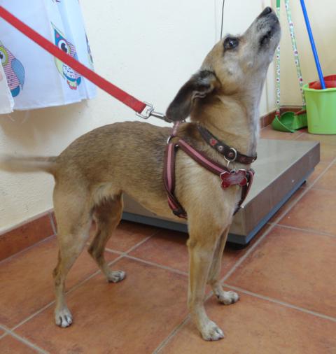 multimedia-foto37198-977-3