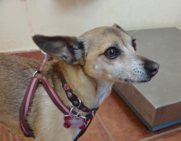 multimedia-foto37199-14-3