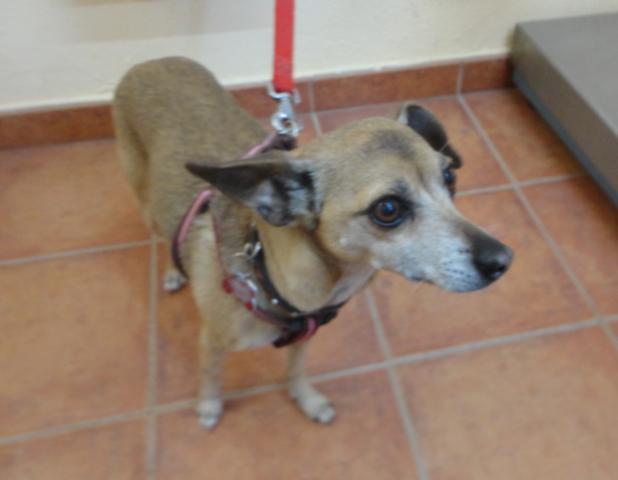 multimedia-foto37200-46-3