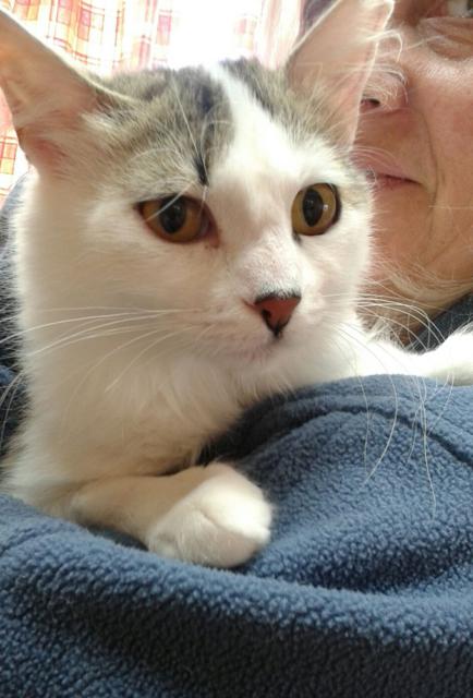 multimedia-foto37207-615-3