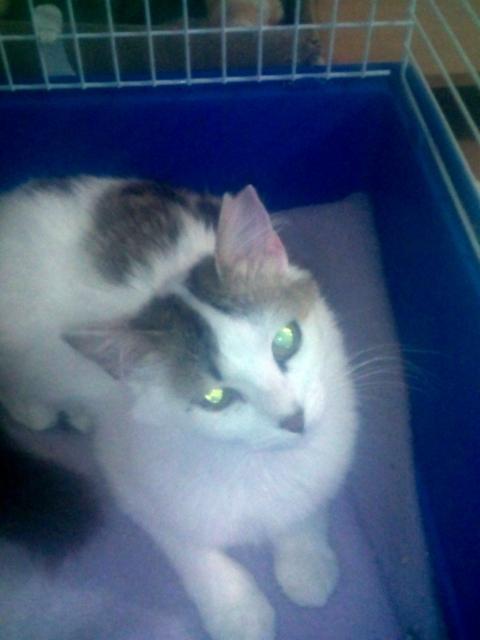 multimedia-foto37208-833-3