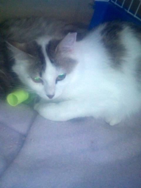 multimedia-foto37209-38-3