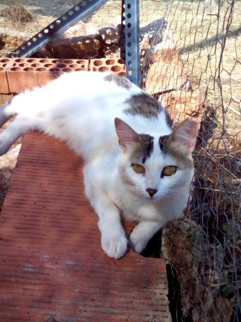 multimedia-foto37211-407-3