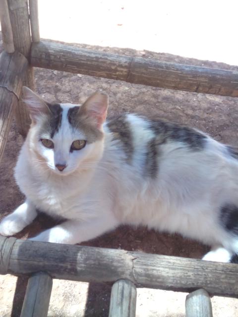 multimedia-foto37212-562-3