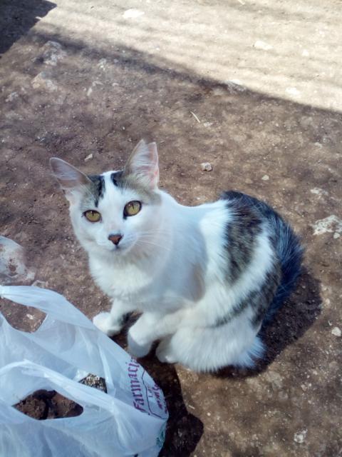 multimedia-foto37214-809-3