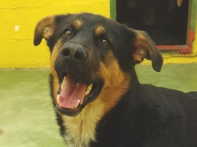 multimedia-foto37237-419-3