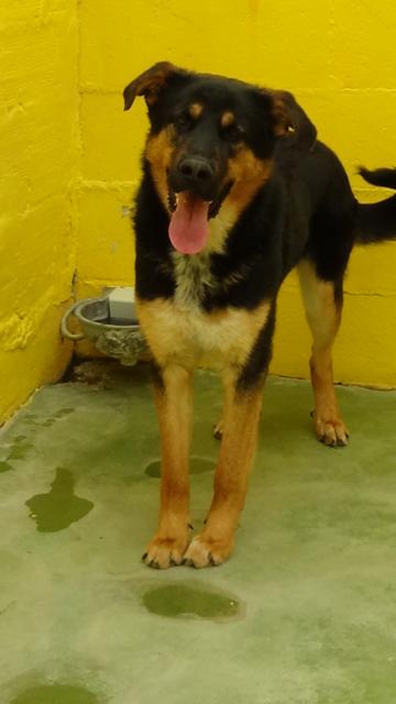 multimedia-foto37238-643-3