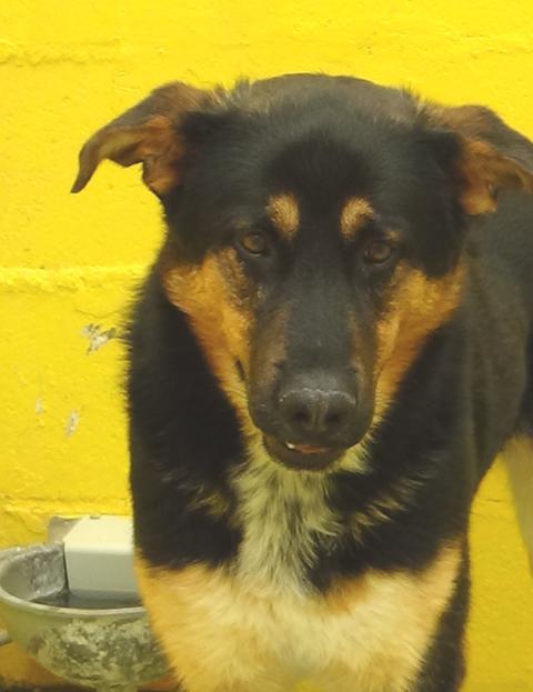 multimedia-foto37239-857-3