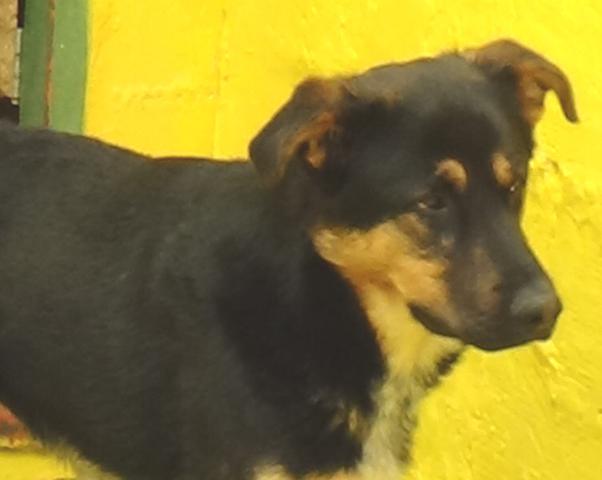 multimedia-foto37240-59-3