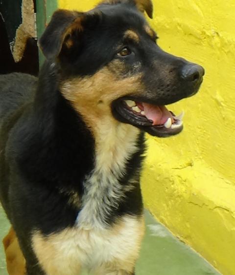 multimedia-foto37241-254-3