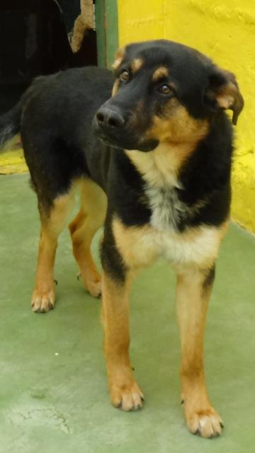 multimedia-foto37242-425-3