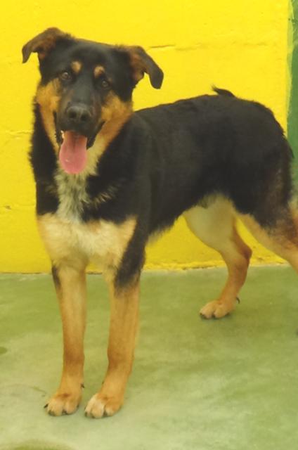 multimedia-foto37243-579-3