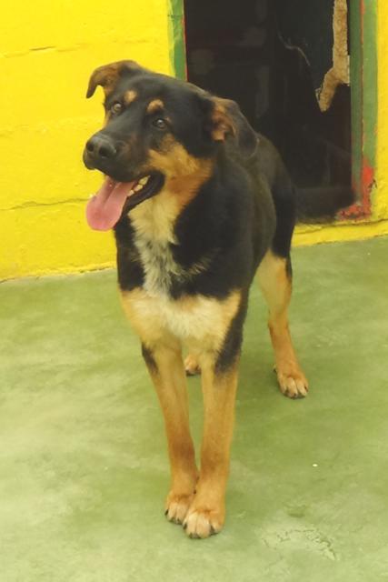 multimedia-foto37244-709-3