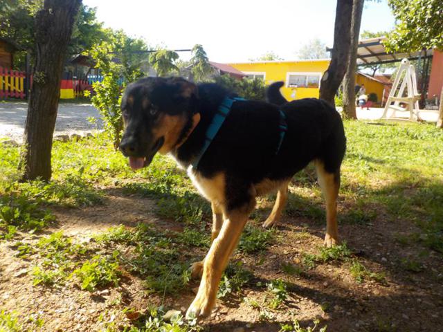 multimedia-foto37245-821-3