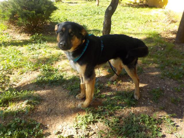 multimedia-foto37246-895-3