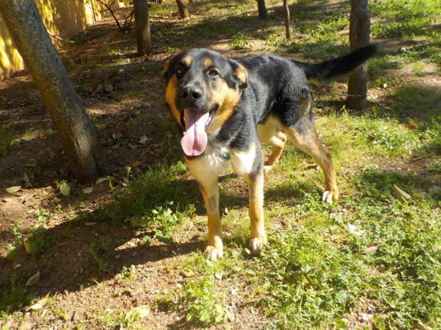 multimedia-foto37247-942-3