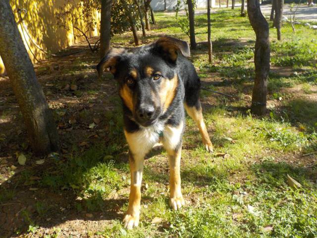 multimedia-foto37248-985-3